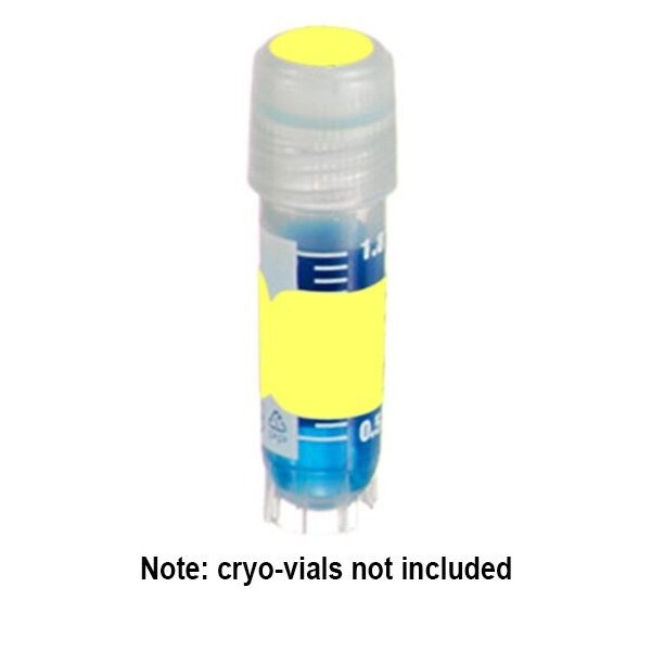 DirectThermal Tags (1.5x0.5") and Spot (3/8") Combo, Yellow, 500 sets/pk, 500PK